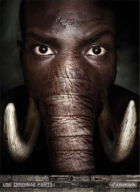 30 Animal and Human Hybrids | Animal faces, Animals, Elephant