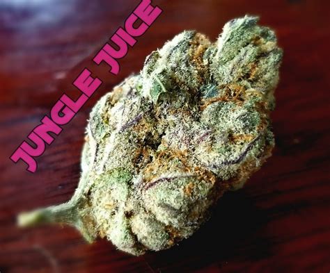 Jungle Juice | Marijuana Strain Reviews | AllBud