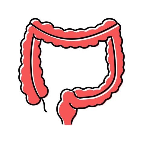 colon human organ color icon vector illustration 19591315 Vector Art at Vecteezy