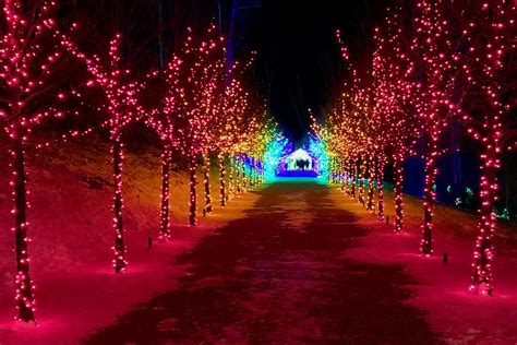 Winter nights, Winterlights: Naumkeag dazzles after dusk - The Berkshire Edge