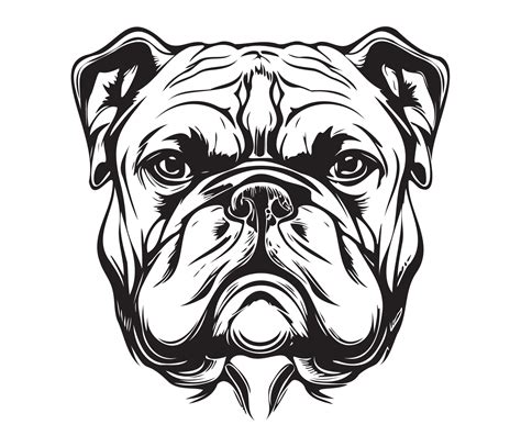 bulldog Face, Silhouette Dog Face, black and white bulldog vector 22924450 Vector Art at Vecteezy