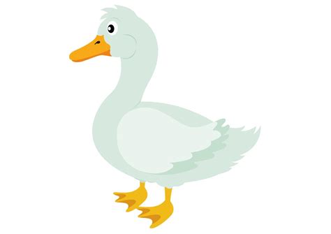 Cartoon Duck in flat style isolated on white background 13266224 Vector ...