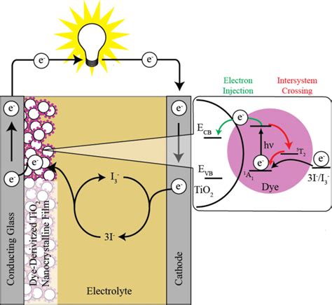 2 Illustration of a dye sensitized solar cell showing the flow of... | Download Scientific Diagram