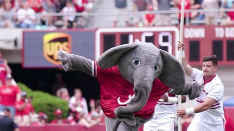 National Mascot Day: Cheering on Big Al - University of Alabama News