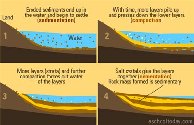 How Sedimentary Rocks Are Formed Diagram