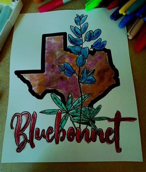 a piece of paper with the word bluebonnet painted on it and a drawing ...