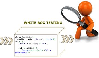 White Box Testing : Types,Differences,Levels,Tools |Professionalqa.com