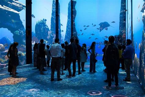 Oceanographic Museum of Monaco and Aquarium Ticket | Compare Price 2023