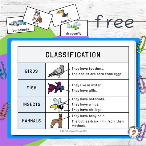 Animal Classification Chart For Kids Printable