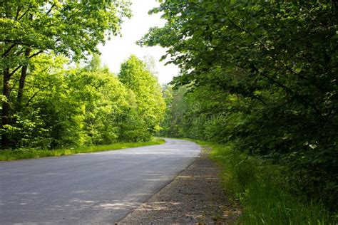 Asphalt Road through the Forest Stock Photo - Image of paved, green ...