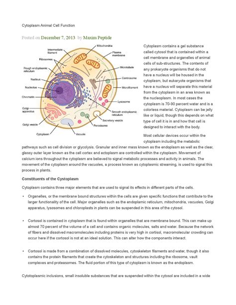 Ribosomes In Animal Cell Function : Cell Structure : Ribosomes link ...