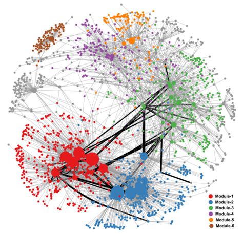 The gene regulatory network in HCC. Different colors represent nodes in... | Download Scientific ...