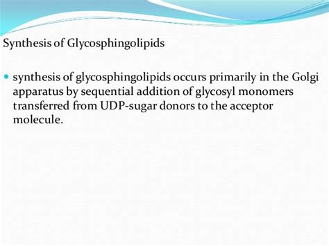 Glycolipids