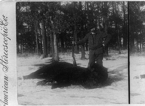 Haunting Images From America's 19th-Century Bison Extermination