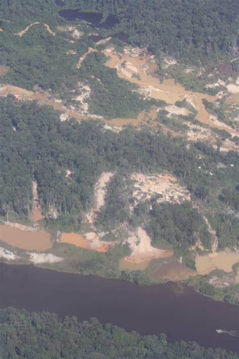 gold mining in guyana – destruction masquerading as progress | mark ...