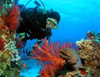 Israel & Jordan - Mediterranean Red Sea Diving & Land Safari (8-day) - Dive Discovery Red Sea