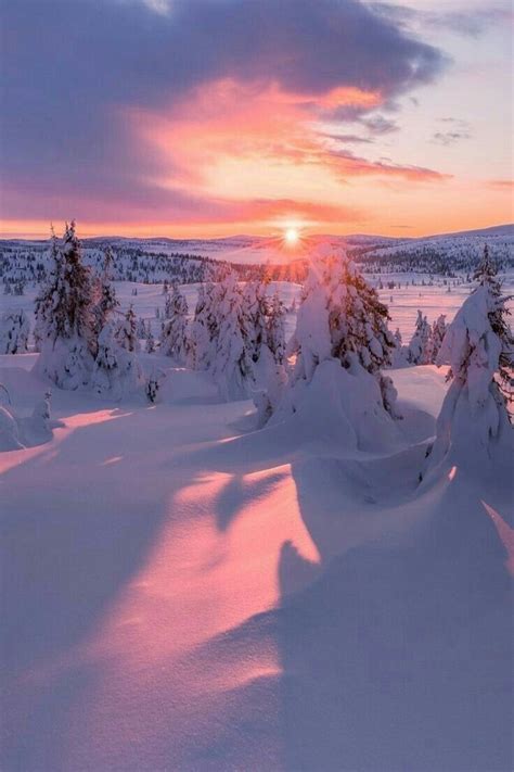 A snowy sunset | Winter landscape, Winter scenery, Winter pictures