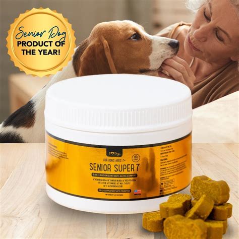 12 Best Supplements for Senior Dogs