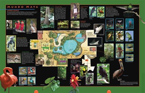 Dallas World Aquarium Map (2024 - 2023) | ThemeParkBrochures.net