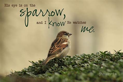 His Eye Is on the Sparrow - MARLENE BURLING