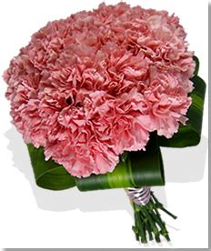 Bouquet Bridal: Pink Carnation Bouquets