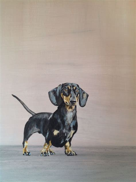 Black and Tan Dachshund acrylic on stretched paper | Black and tan dachshund, Dachshund art ...