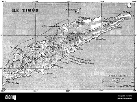 Timor island map Black and White Stock Photos & Images - Alamy