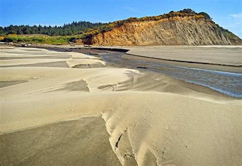 Sand dunes at Agate Beach in Oregon Photograph by Maralei Keith Nelson