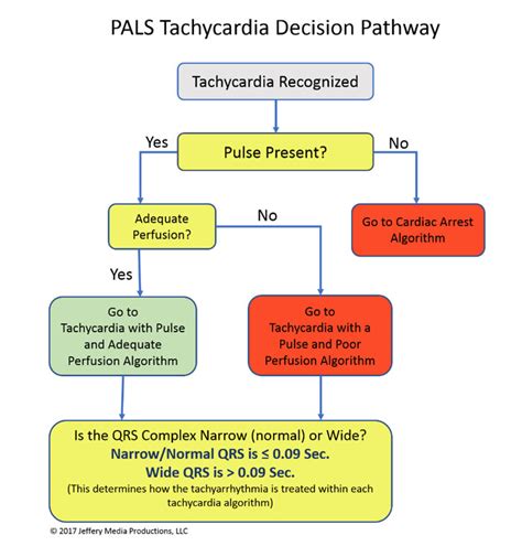 PALS Tachycardia Algorithm | Learn & Master PALS