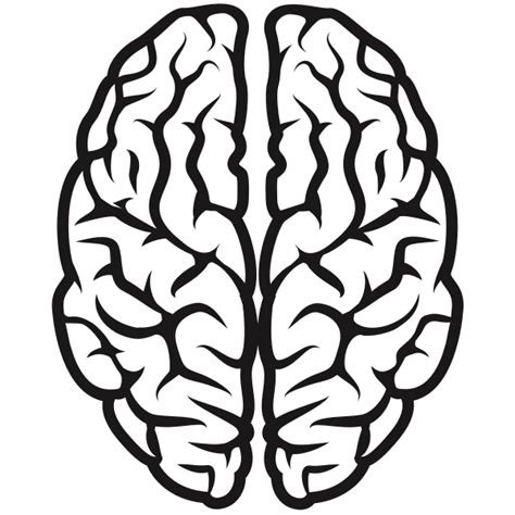 Brain (#2) | Free SVG