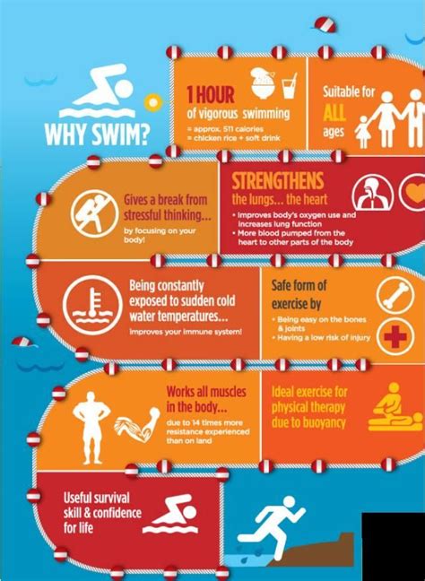 isaacloo swim infographic | Swimming infographic, Swimming benefits, Swimming workout