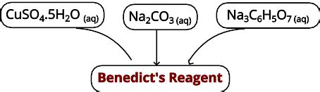 Benedict's Reagent: A Semi-Quantitative Test - PSIBERG