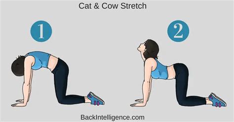 5 Sciatica Exercises For Pain Relief From Home (With Pictures)