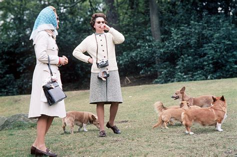 Queen Elizabeth ‘absolutely devastated’ after her ‘dorgi’ puppy dies: report - LifeStyle World News