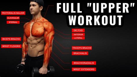 The Best Science-Based Upper Body Workout for Growth (Chest/Back/Arms ...