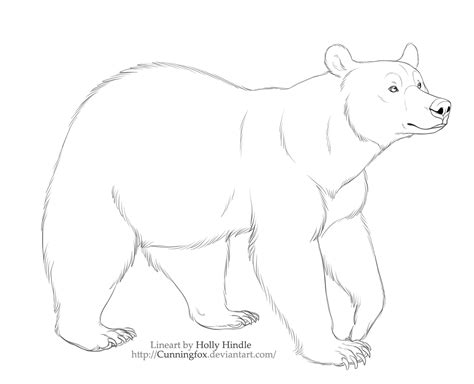 Free lineart- North American Black Bear by Bear-hybrid on DeviantArt