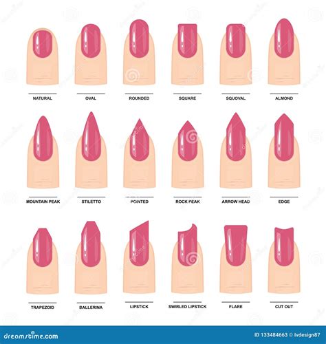 Aggregate 143+ different shapes of nail extensions - songngunhatanh.edu.vn