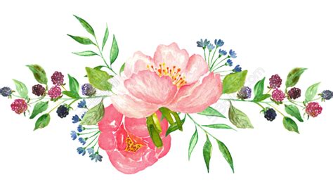 watercolor clipart transparent - Google Search | Watercolor flower ...