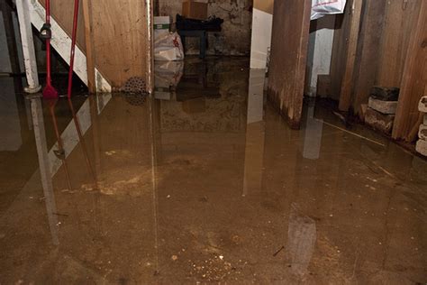 Erie County Department of Health offers flood cleanup advice | WBFO