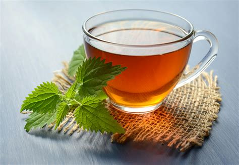 Peppermint Tea on Teacup · Free Stock Photo