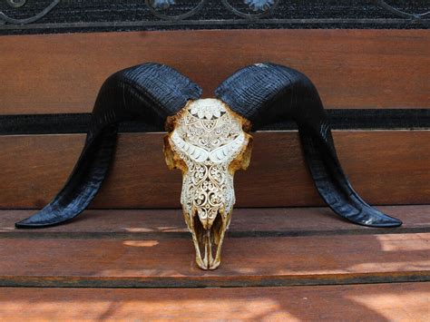 Ram Skull Carved Sheep Skull Decor, Ram Skull Carving With Horn. - Etsy