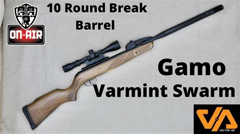 Gamo Varmint Swarm Tactical Review - BEST GAMES WALKTHROUGH