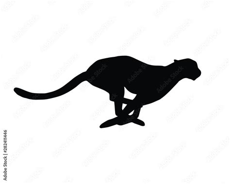 Vector black flat silhouette of running cheetah Isolated on white background เวกเตอร์สต็อก ...