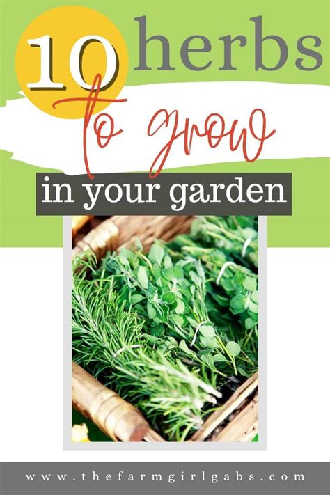 Best Herbs To Grow For Cooking - The Farm Girl Gabs®