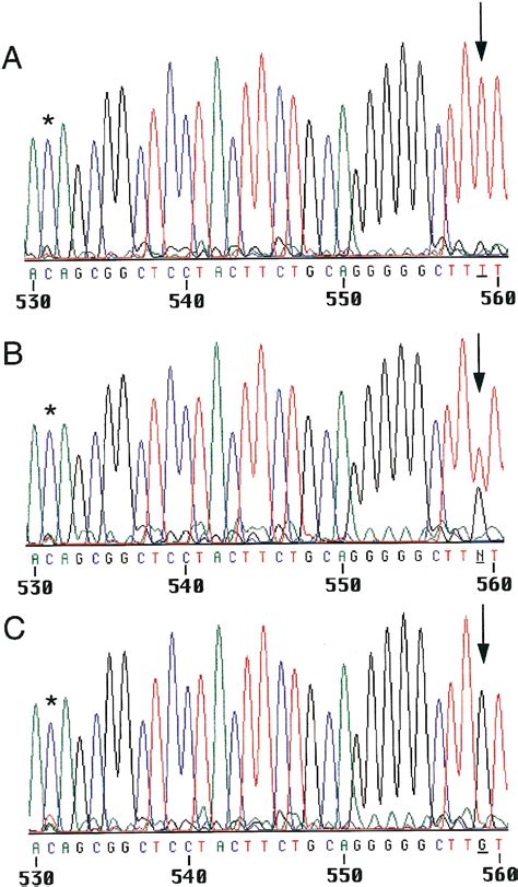 Figure 1 from A novel polymorphism of FcgammaRIIIa (CD16) alters receptor function and ...