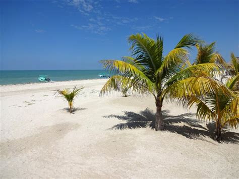 Tropical Celestun Beach In Yucatan Stock Photo - Image: 62867110