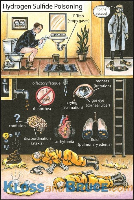 Hydrogen Sulfide Poisoning • LITFL • Toxicology Flashcards