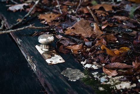 White and Brown Rusty Door Knob · Free Stock Photo