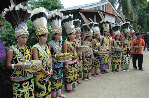 "Dayak Tribe" | Zona Indonesia