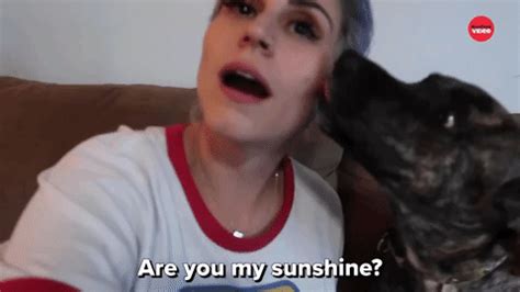 Are You My Sunshine? - GIPHY Clips